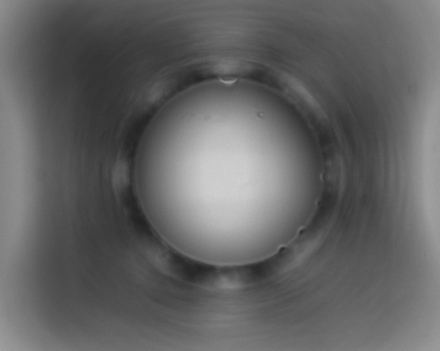 X0000113890368200910011327