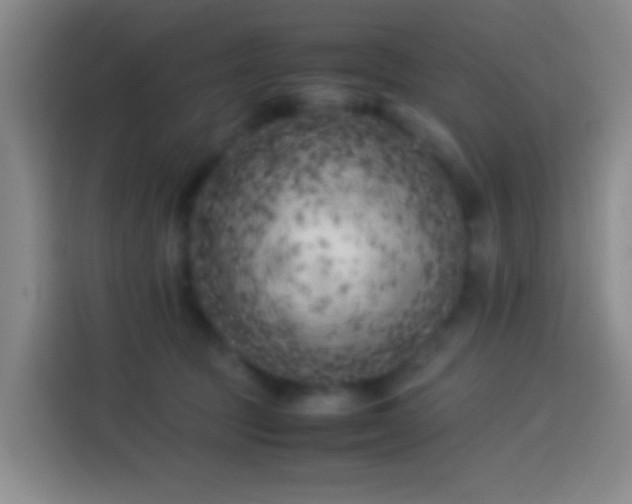X0000113890369200910011327