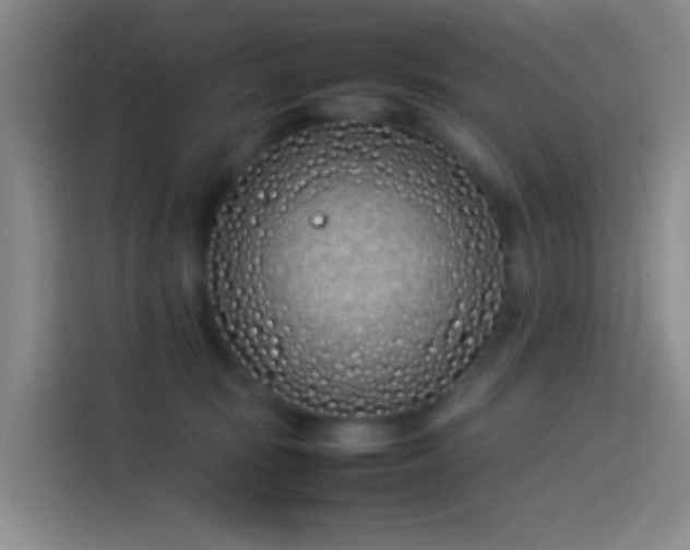 X0000113890371200910011327