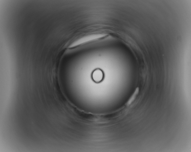 X0000113890372200910011327