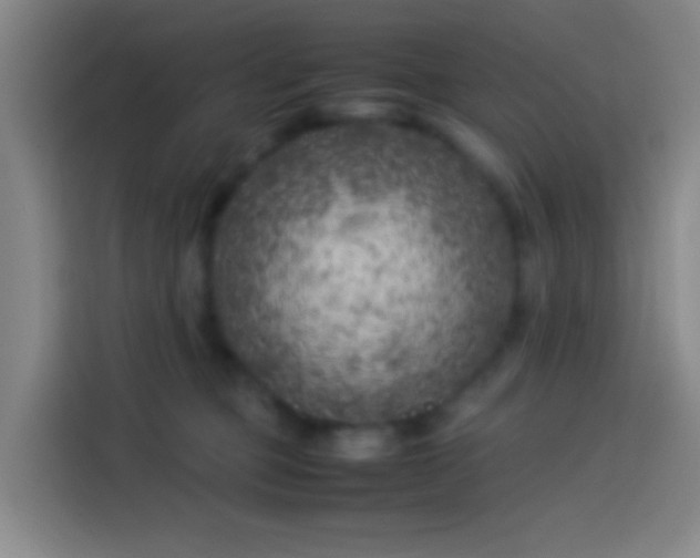 X0000113890373200910011327