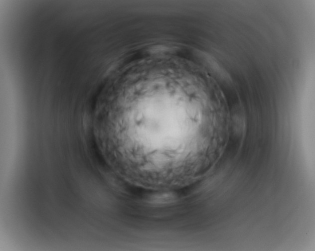 X0000113890375200910011327