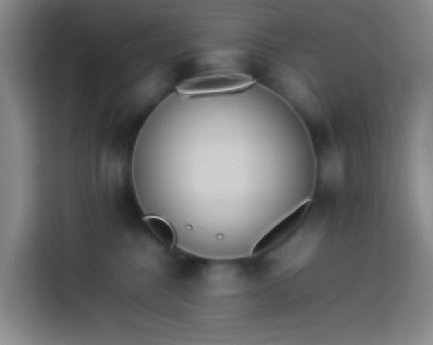 X0000113890376200910011327