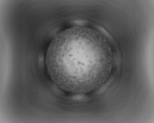 X0000113890377200910011327
