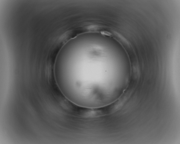 X0000113890379200910011327