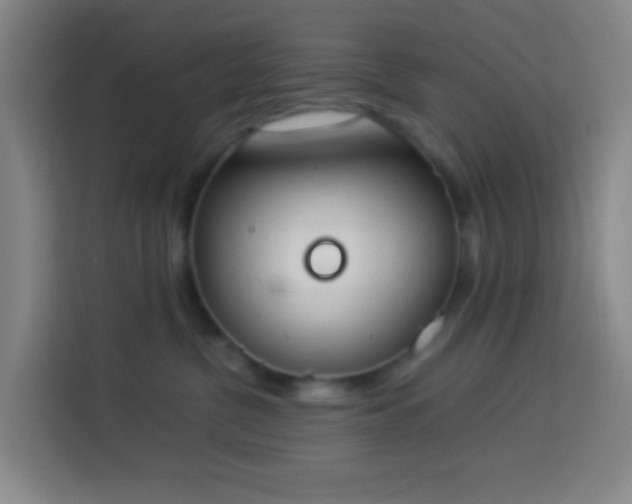 X0000113890380200910011327