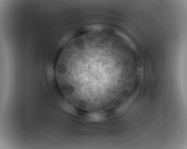 X0000113890381200910011327