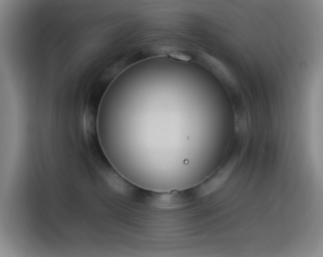 X0000113890382200910011327