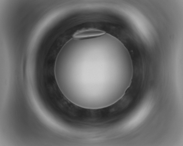 X0000113890383200910011327