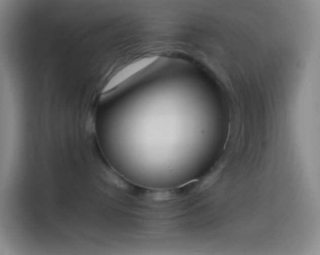 X0000113890384200910011327