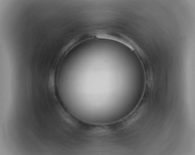 X0000113890386200910011327