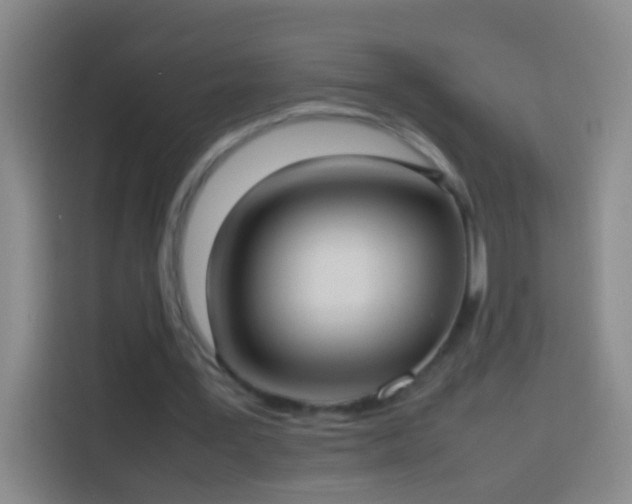 X0000113890387200910011327