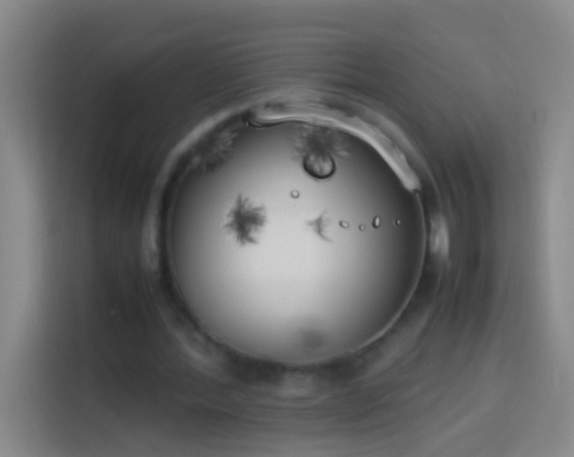 X0000113890388200910011327