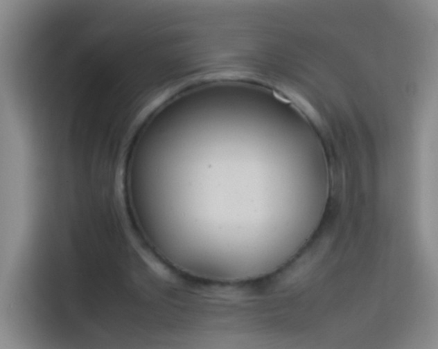 X0000113890389200910011327