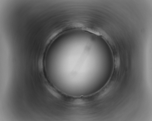 X0000113890390200910011327