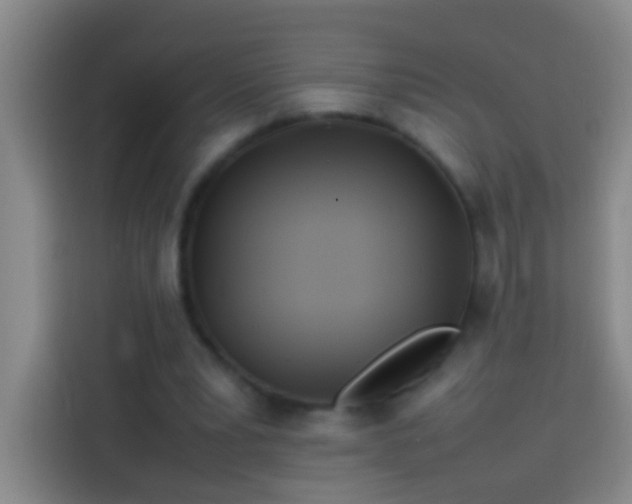 X0000113890391200910011327