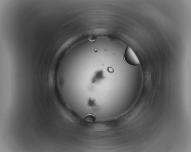 X0000113890392200910011327