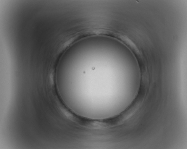 X0000113890393200910011327