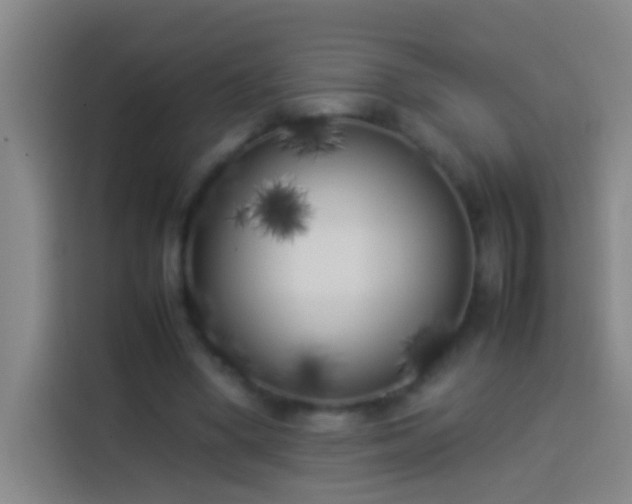 X0000113890394200910011327