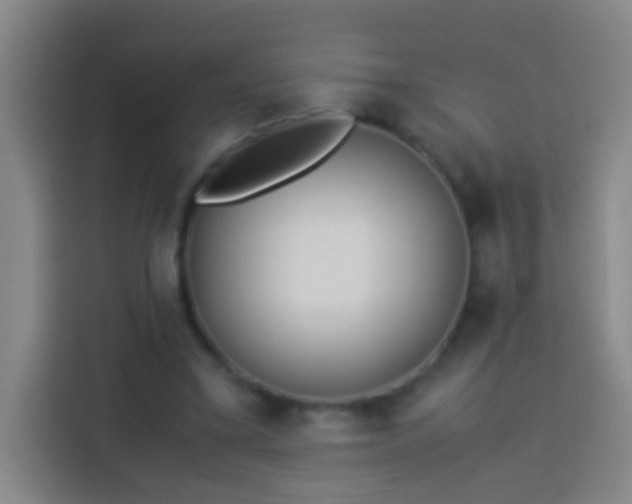 X0000113890395200910011327