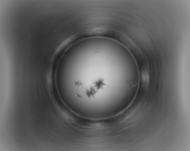 X0000113890396200910011327