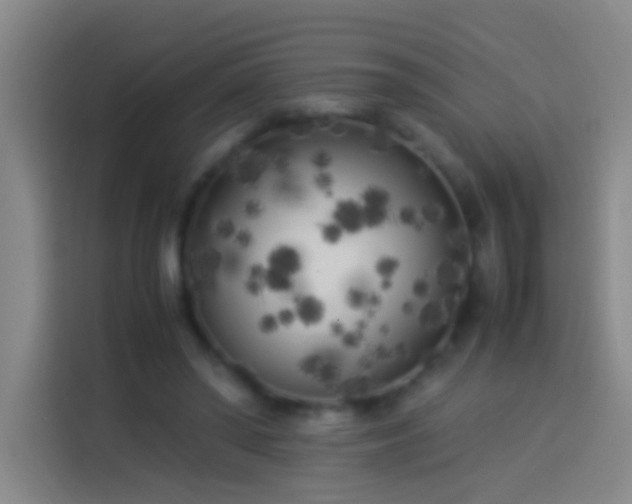 X0000113890398200910011327