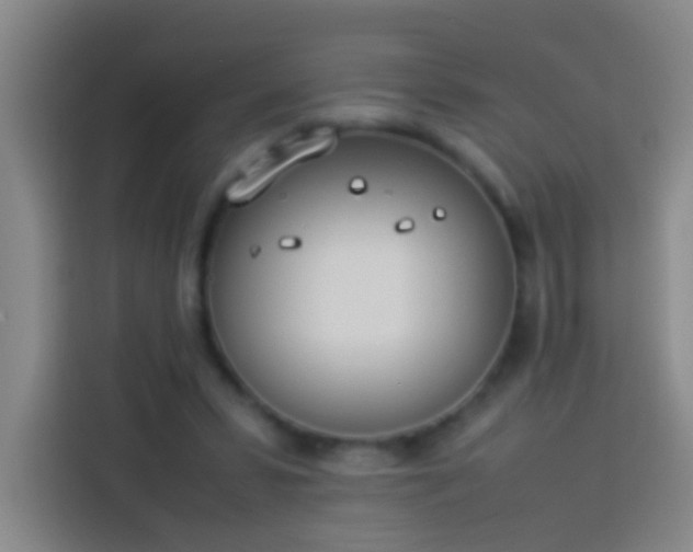 X0000113890399200910011327