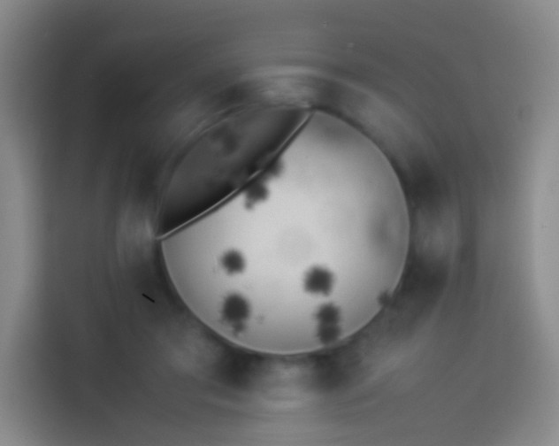 X0000113890405200910011327