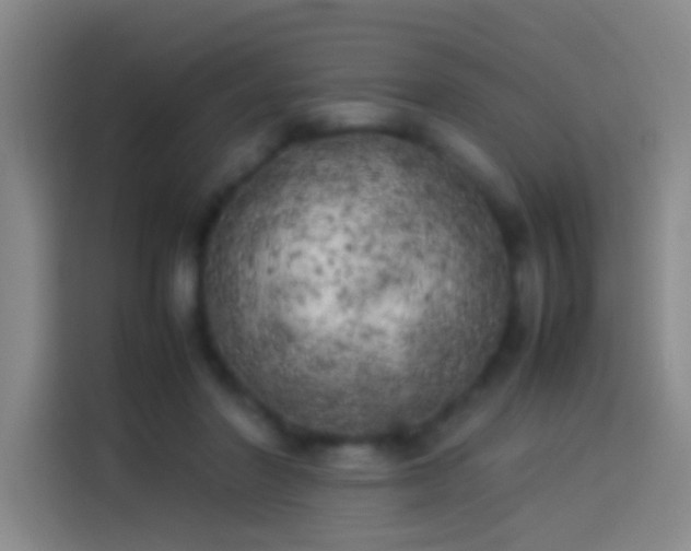 X0000113890406200910011326