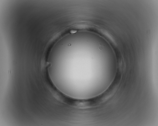 X0000113890407200910011326