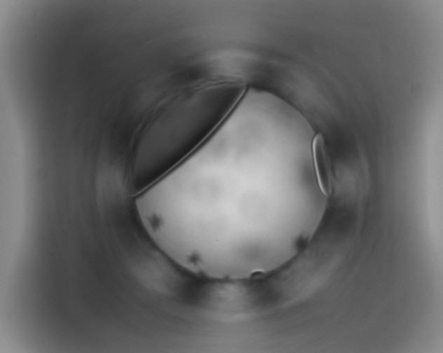 X0000113890409200910011326