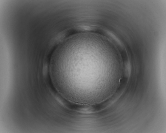 X0000113890410200910011326