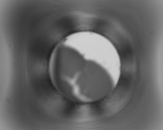 X0000113890411200910011326