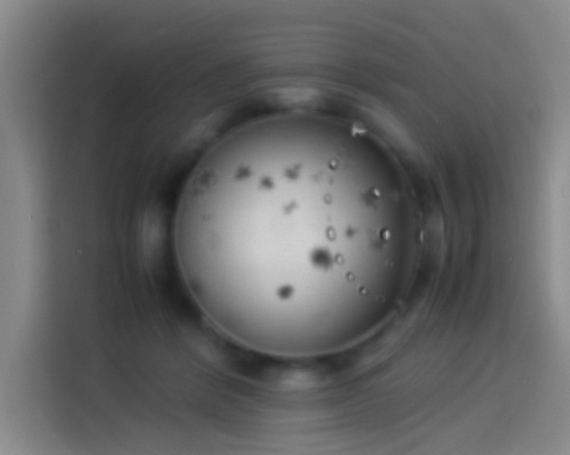 X0000113890412200910011326
