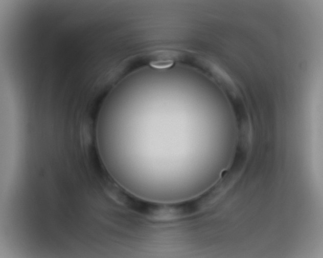 X0000113890413200910011326