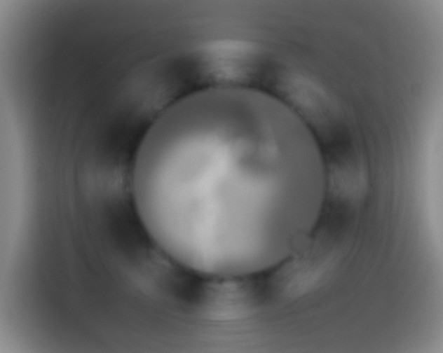 X0000113890419200910011326