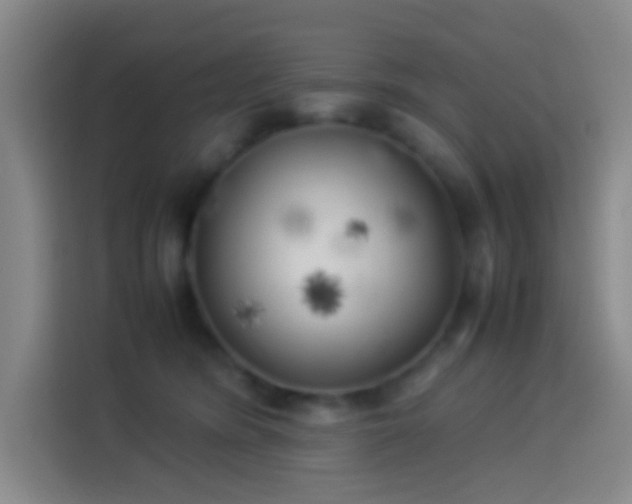 X0000113890420200910011326