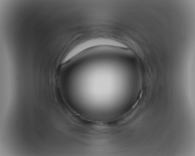 X0000113890421200910011326