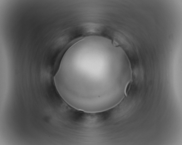 X0000113890423200910011326