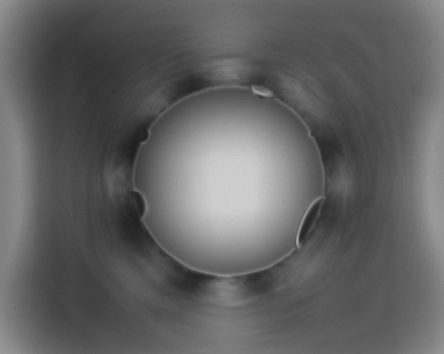 X0000113890425200910011326