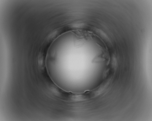X0000113890428200910011326