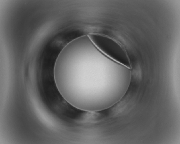 X0000113890429200910011326