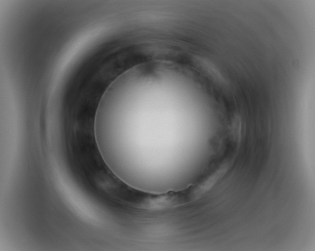 X0000113890430200910011326