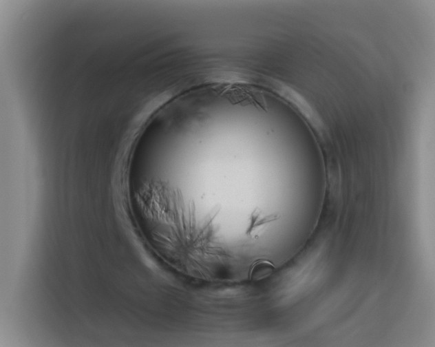 X0000113890433200910011326