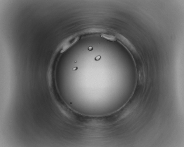 X0000113890436200910011326