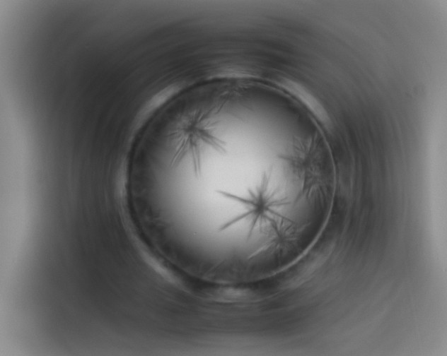 X0000113890437200910011326