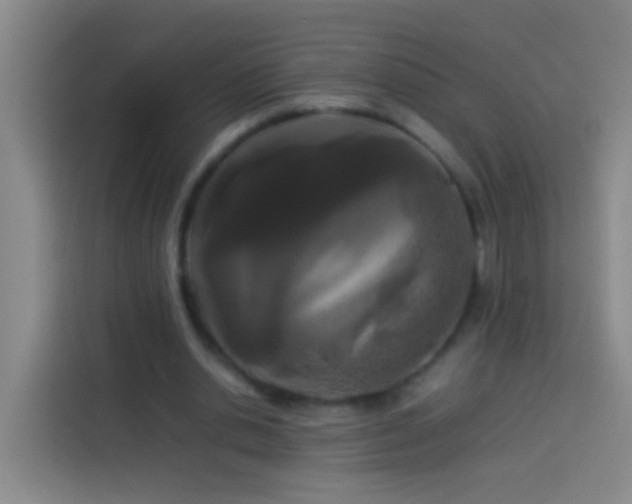 X0000113890438200910011326