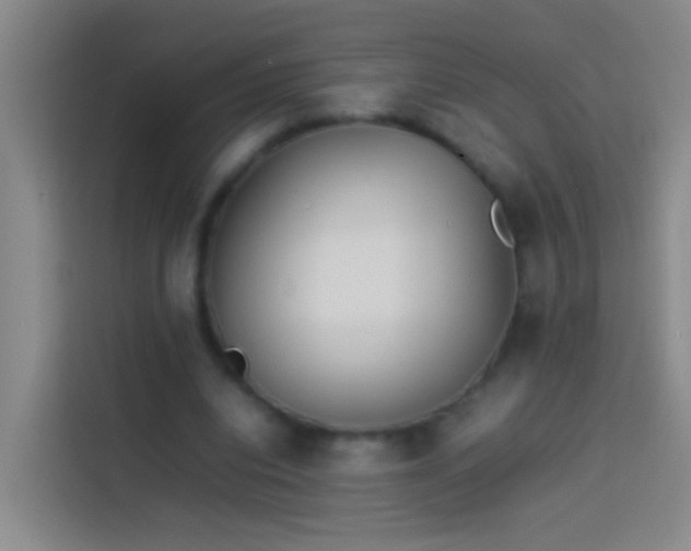 X0000113890440200910011326