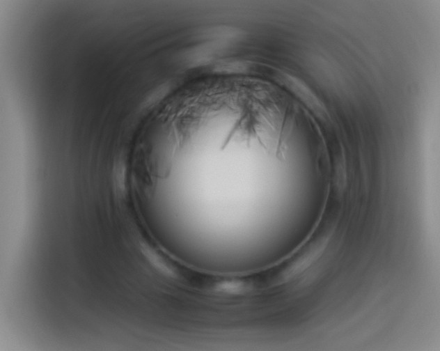 X0000113890441200910011326