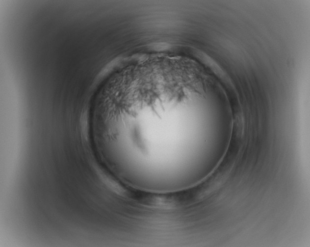 X0000113890442200910011326